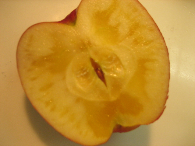 a0052486_14414221.jpg
