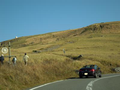 d0044986_733563.jpg