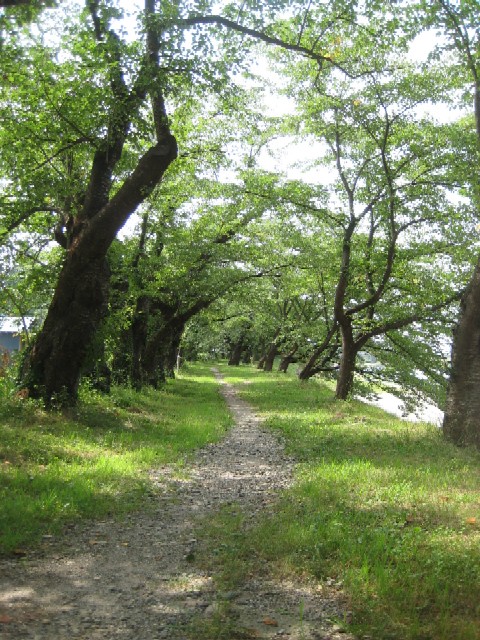c0013687_2332348.jpg