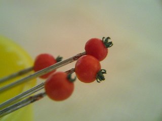 b0185290_16421775.jpg