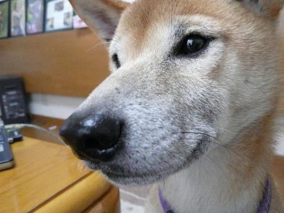 c0123890_2004976.jpg