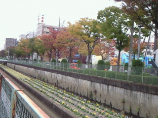 e0017290_17531545.jpg