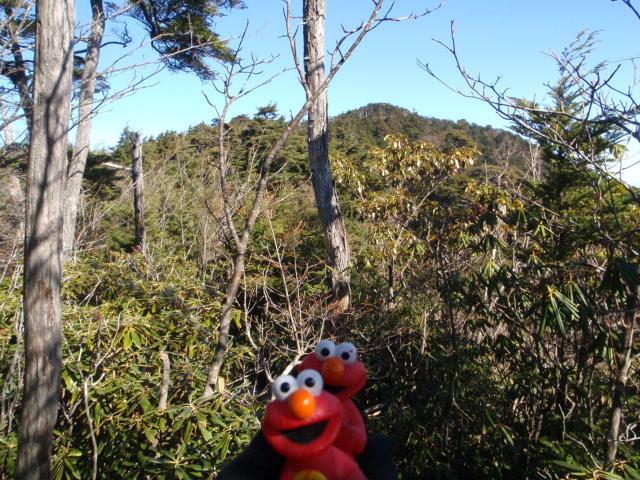 d0034291_7345650.jpg