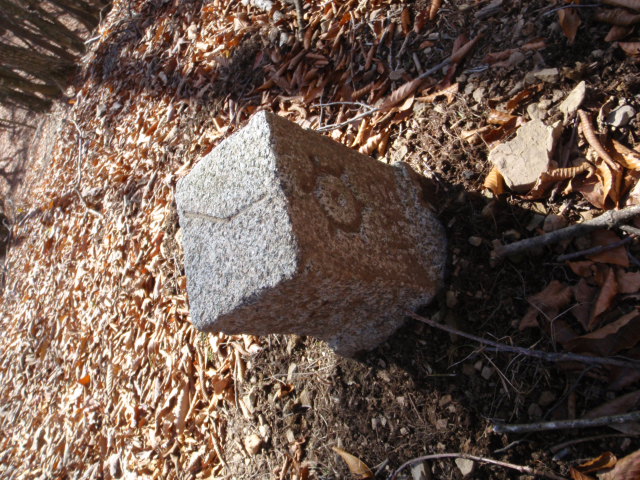 d0034291_7414992.jpg