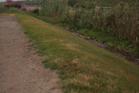 d0133693_21482469.jpg