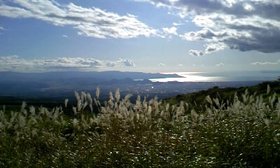 b0029694_184930.jpg