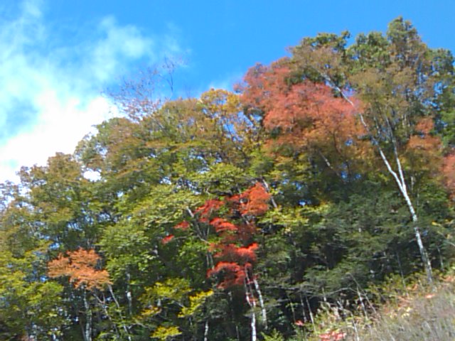 e0068696_864582.jpg