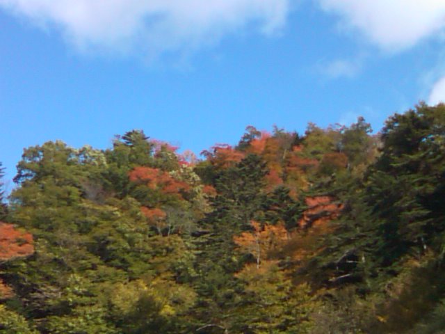 e0068696_869100.jpg
