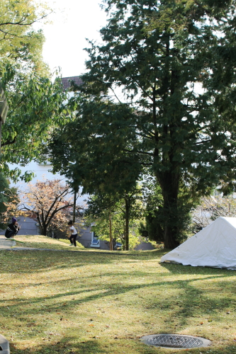 c0129498_19424948.jpg