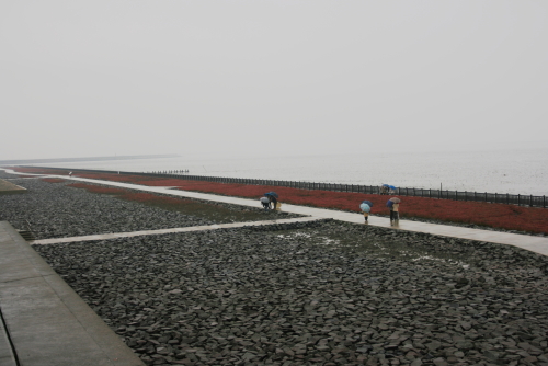 c0129498_2033499.jpg