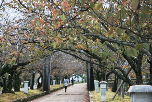 c0129498_2340269.jpg