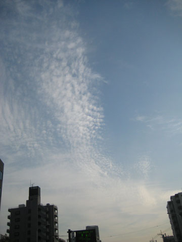 b0097200_055279.jpg