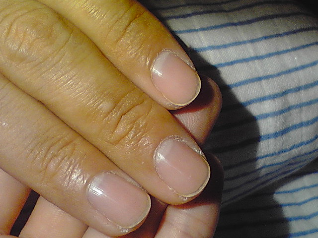 d0150304_2019426.jpg