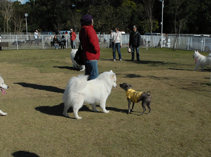 e0018604_13243465.gif