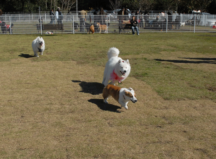 e0018604_1324424.gif