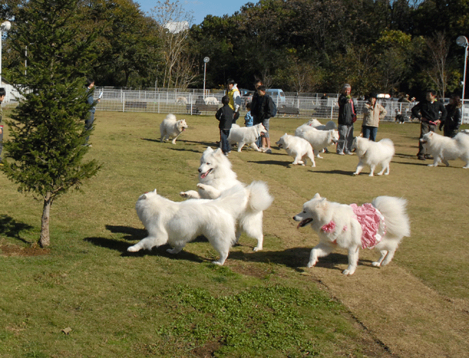 e0018604_13252196.gif