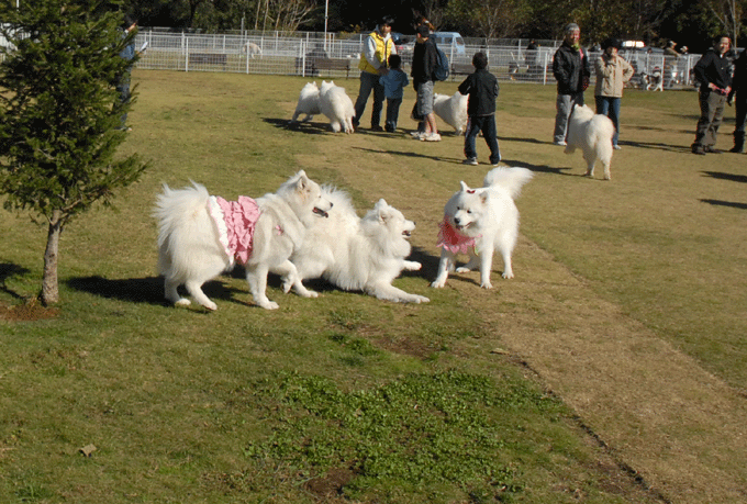 e0018604_1325837.gif