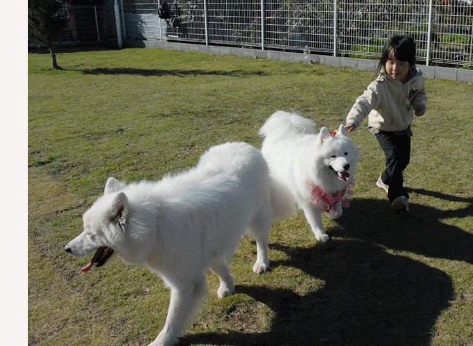 e0018604_13311141.gif