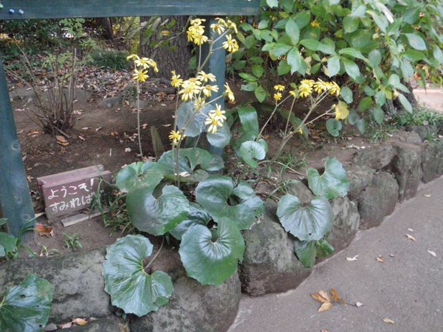 b0049307_2216574.jpg