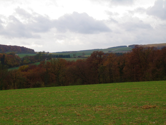 d0135907_23301711.jpg