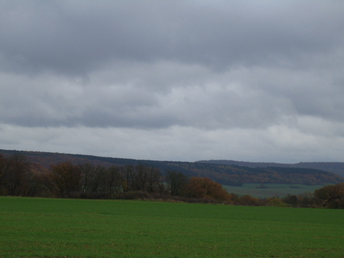 d0135907_23304146.jpg