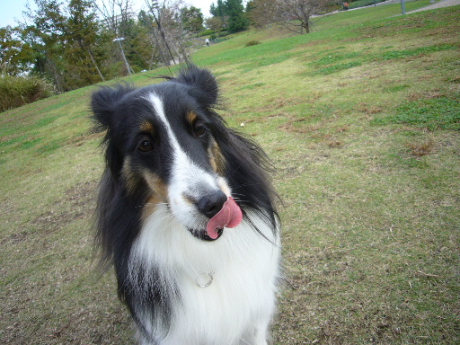 e0130008_19465377.jpg