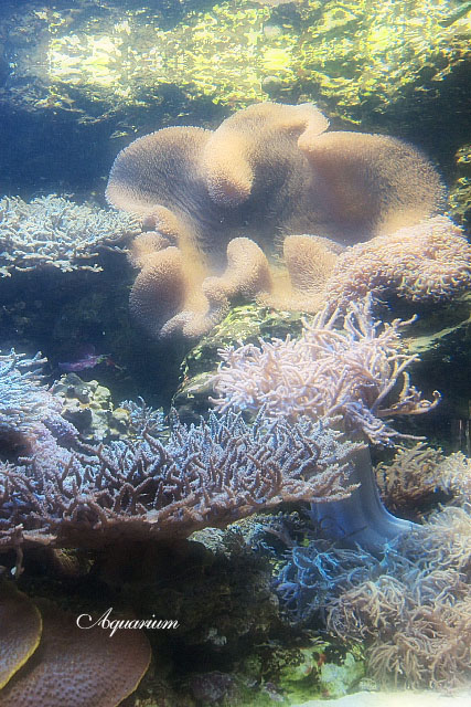 e0163608_23282689.jpg