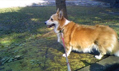 c0150520_1215339.jpg