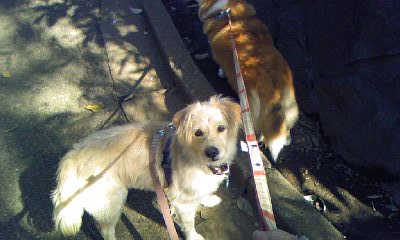 c0150520_12153665.jpg