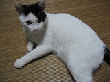 f0139520_11361987.jpg