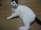 f0139520_1136451.jpg