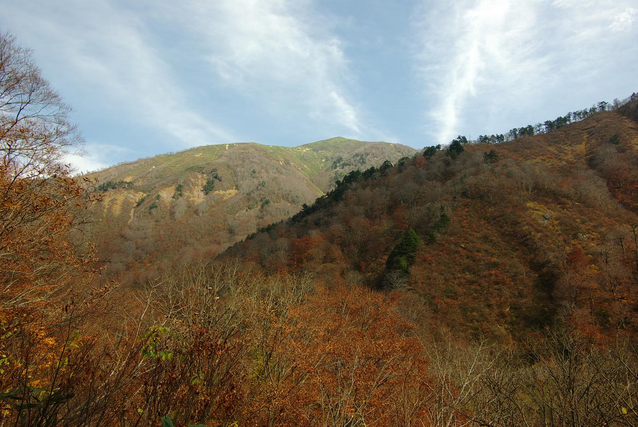 b0062024_19133816.jpg