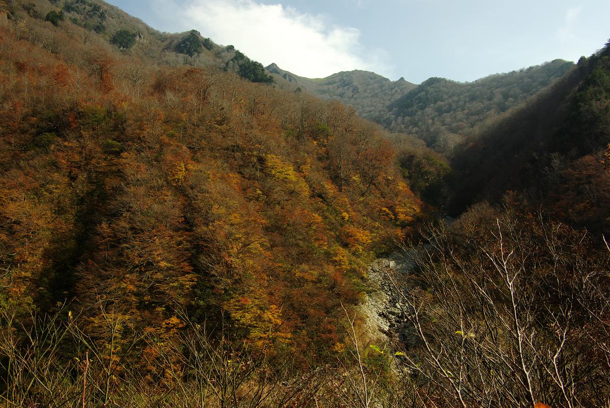 b0062024_19184227.jpg