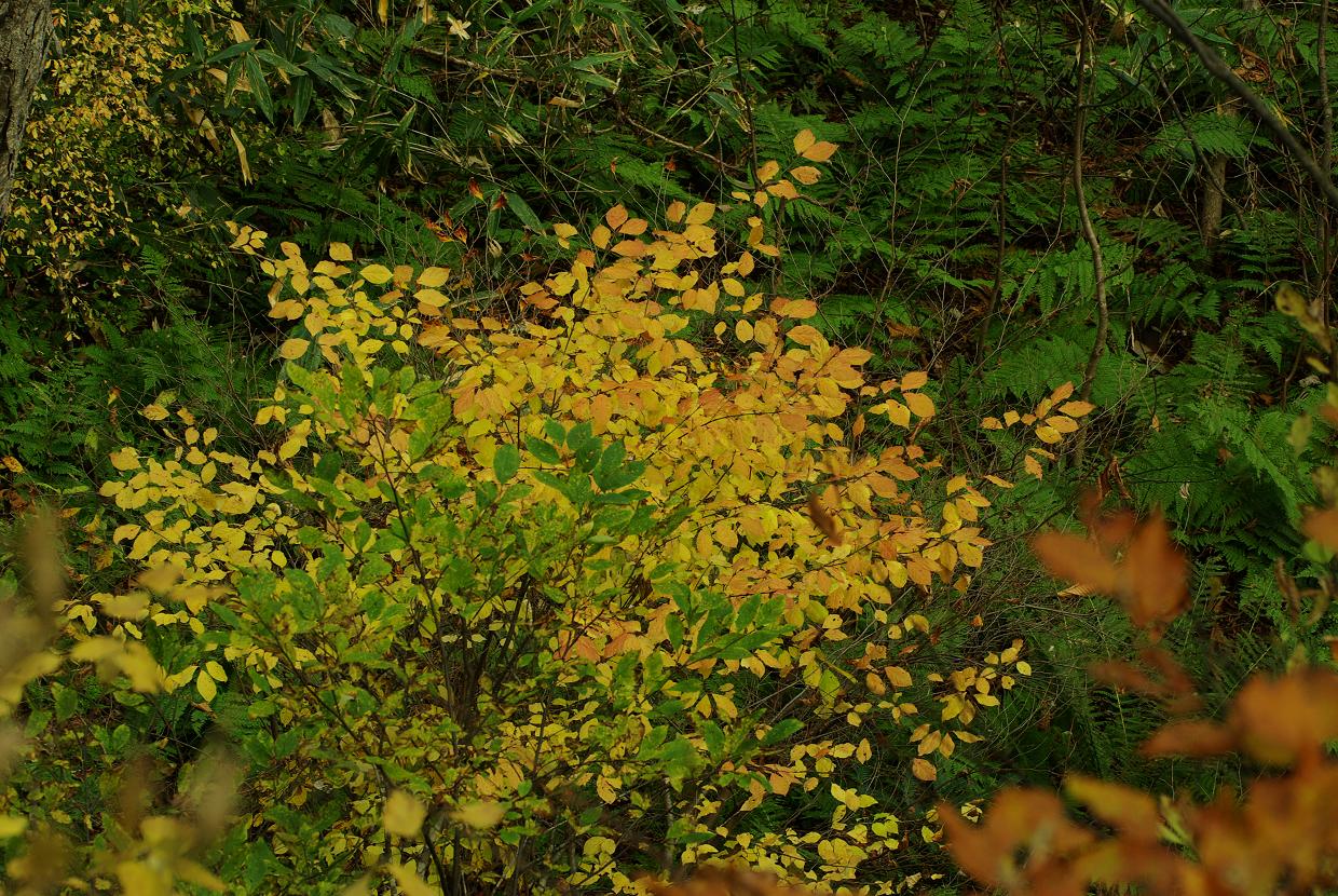 b0062024_1922530.jpg