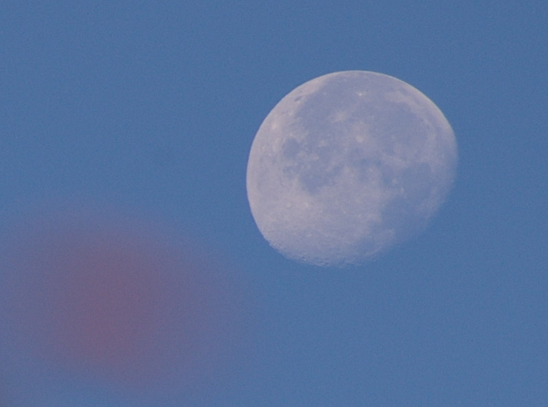 e0136424_1623284.jpg