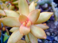 f0147025_895314.jpg