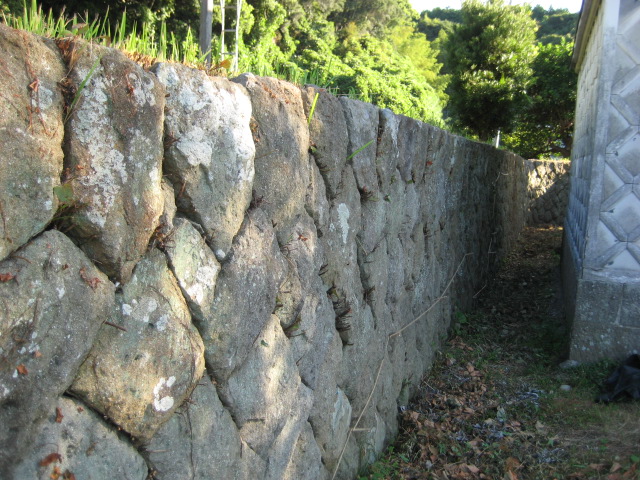 d0147727_19395837.jpg