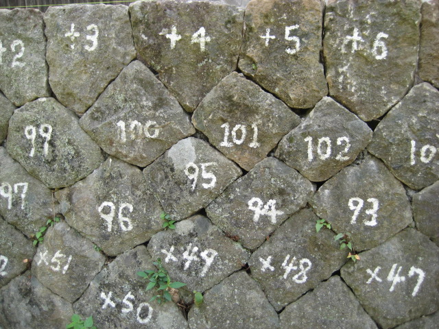 d0147727_19541968.jpg