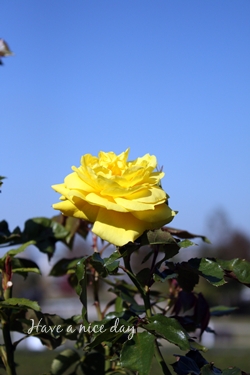 c0203128_2011799.jpg