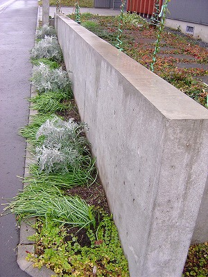 f0205733_0412832.jpg