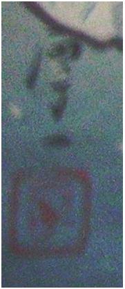 f0034334_10354335.jpg