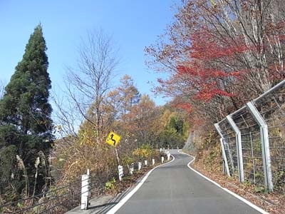 b0019140_1559730.jpg