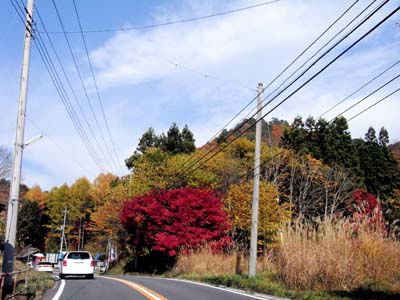 b0019140_160121.jpg