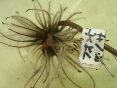 c0025140_212750.jpg