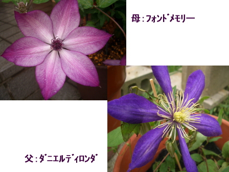 c0025140_213643.jpg