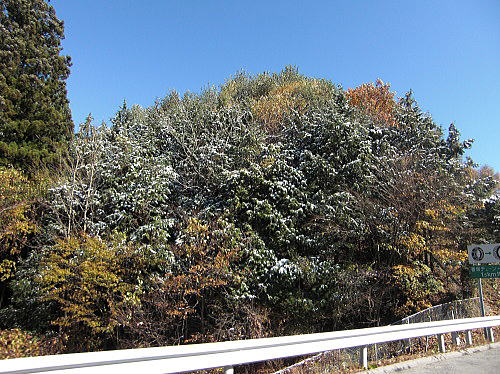 f0094843_0374357.jpg