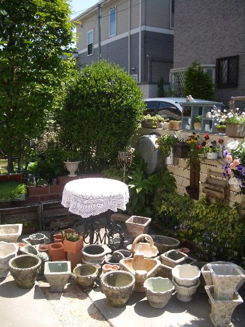 d0085448_844582.jpg