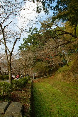f0201348_1832872.jpg