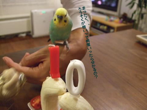 f0149057_23525979.jpg