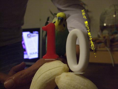 f0149057_2353878.jpg